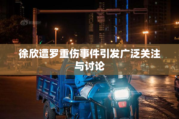 徐欣遭罗重伤事件引发广泛关注与讨论