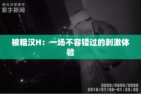 被粗汉H：一场不容错过的刺激体验