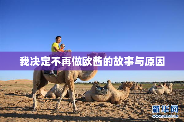 我决定不再做欧酱的故事与原因