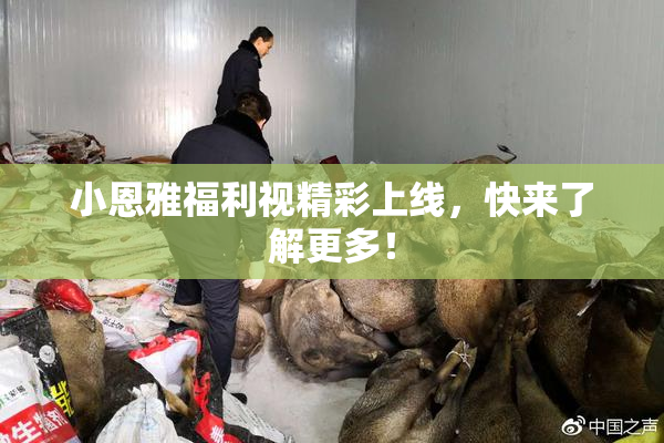 小恩雅福利视精彩上线，快来了解更多！
