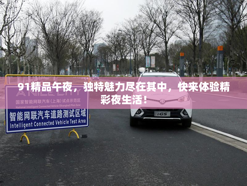 91精品午夜，独特魅力尽在其中，快来体验精彩夜生活！