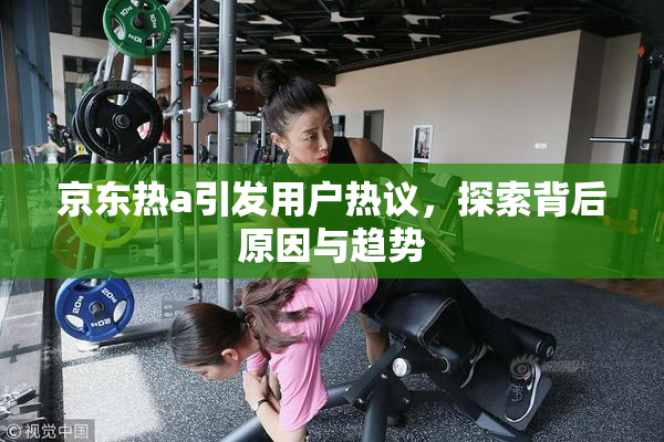 京东热a引发用户热议，探索背后原因与趋势