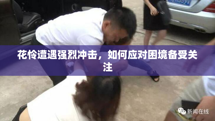 花怜遭遇强烈冲击，如何应对困境备受关注