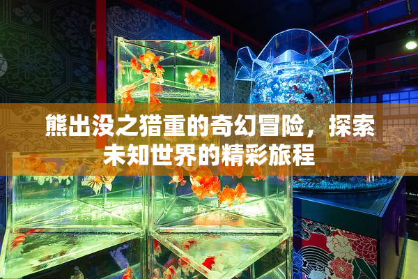 熊出没之猎重的奇幻冒险，探索未知世界的精彩旅程