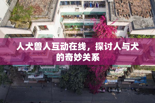 人犬兽人互动在线，探讨人与犬的奇妙关系