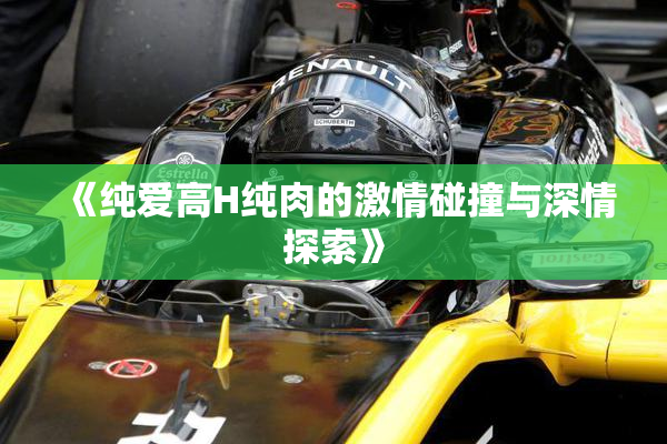 《纯爱高H纯肉的激情碰撞与深情探索》