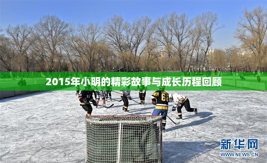 2015年小明的精彩故事与成长历程回顾