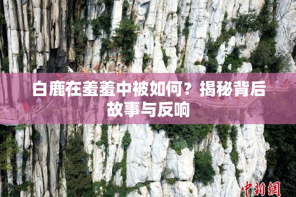 白鹿在羞羞中被如何？揭秘背后故事与反响