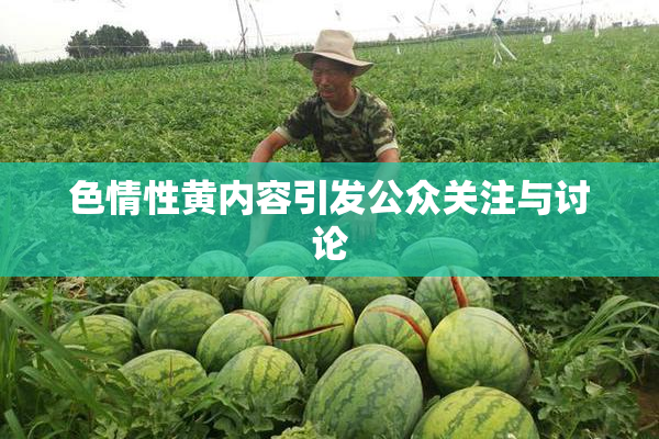 色情性黄内容引发公众关注与讨论