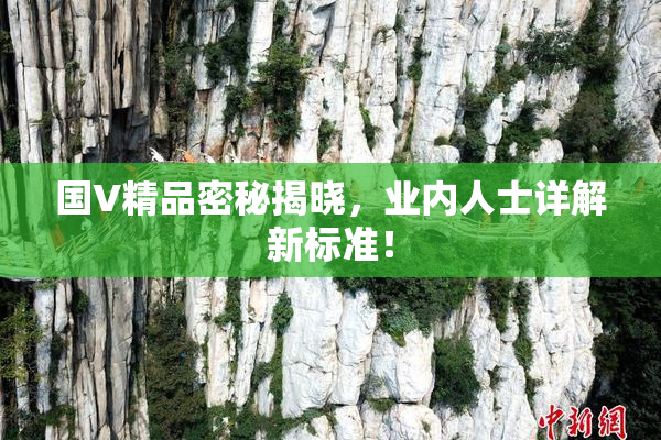 国V精品密秘揭晓，业内人士详解新标准！