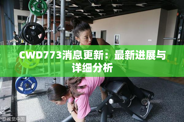 CWD773消息更新：最新进展与详细分析