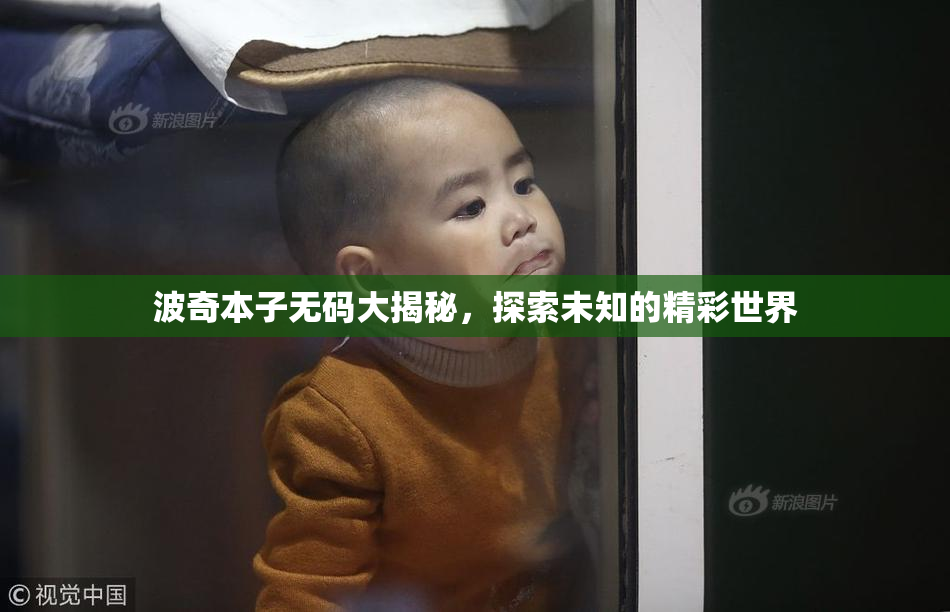 波奇本子无码大揭秘，探索未知的精彩世界