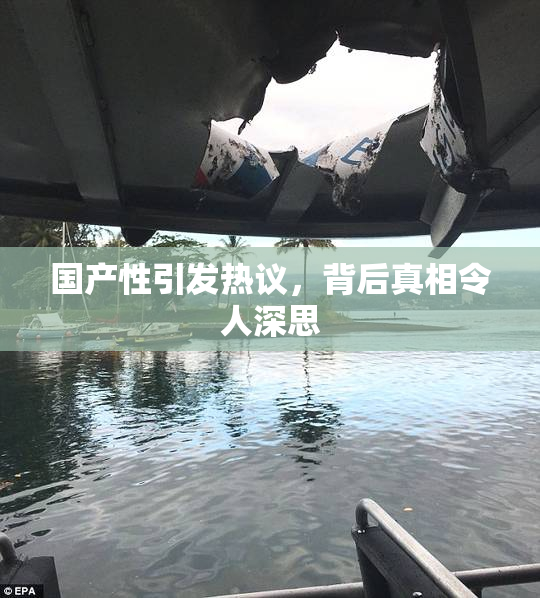 国产性引发热议，背后真相令人深思