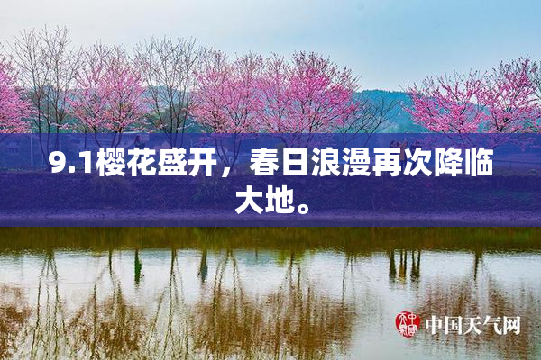 9.1樱花盛开，春日浪漫再次降临大地。