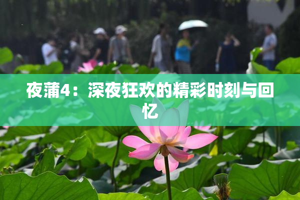 夜蒲4：深夜狂欢的精彩时刻与回忆