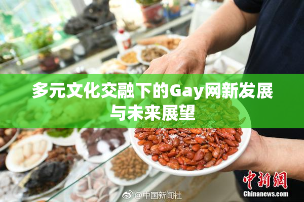 多元文化交融下的Gay网新发展与未来展望