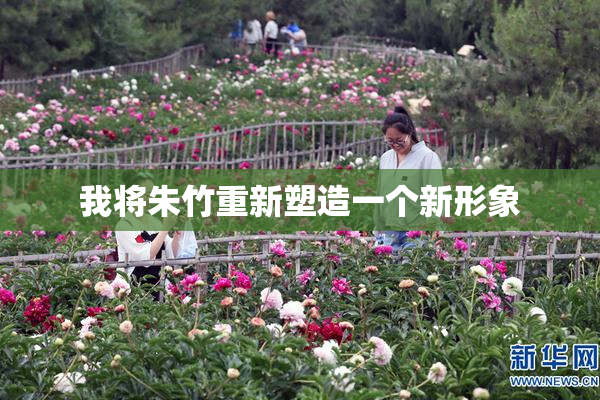 我将朱竹重新塑造一个新形象