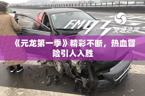 《元龙第一季》精彩不断，热血冒险引人入胜
