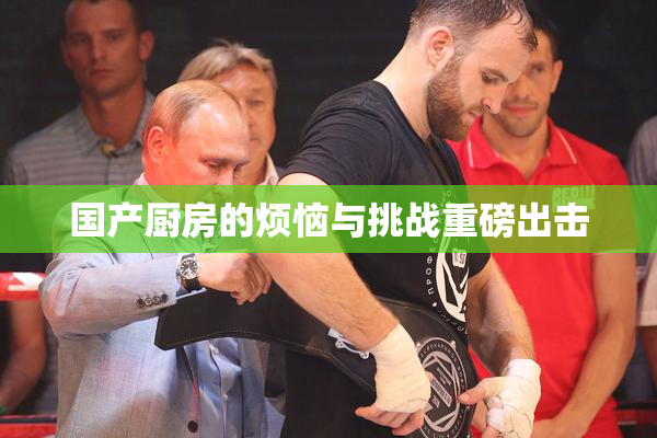 国产厨房的烦恼与挑战重磅出击