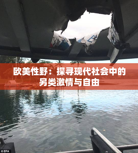 欧美性野：探寻现代社会中的另类激情与自由