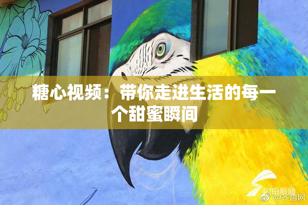 糖心视频：带你走进生活的每一个甜蜜瞬间