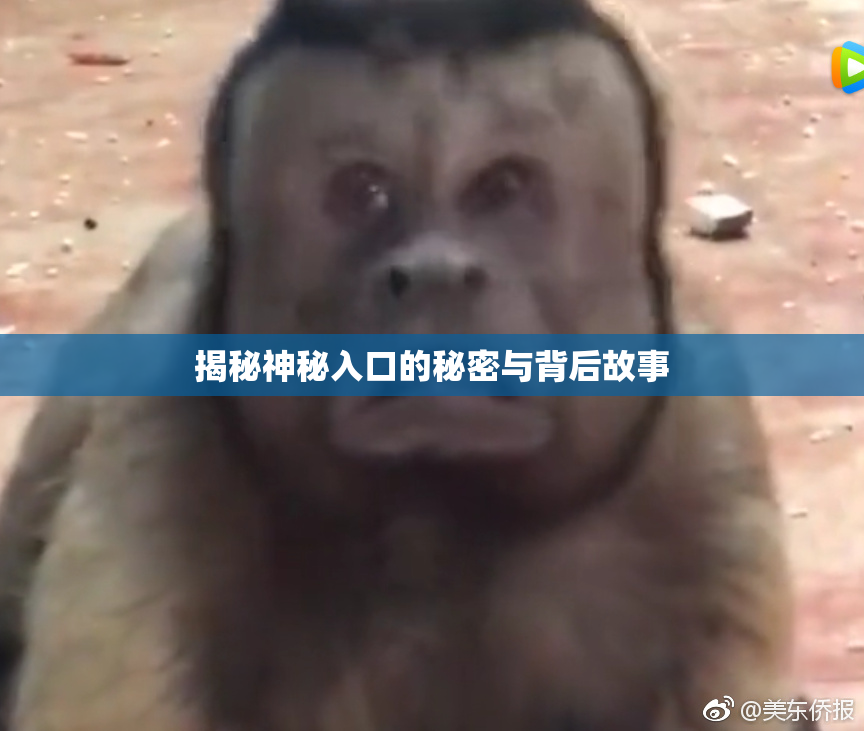 揭秘神秘入口的秘密与背后故事