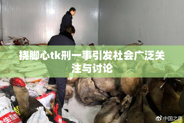 挠脚心tk刑一事引发社会广泛关注与讨论