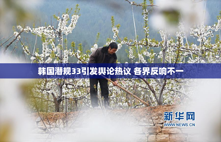 韩国潜规33引发舆论热议 各界反响不一