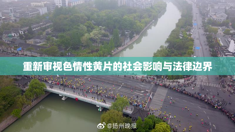 重新审视色情性黄片的社会影响与法律边界