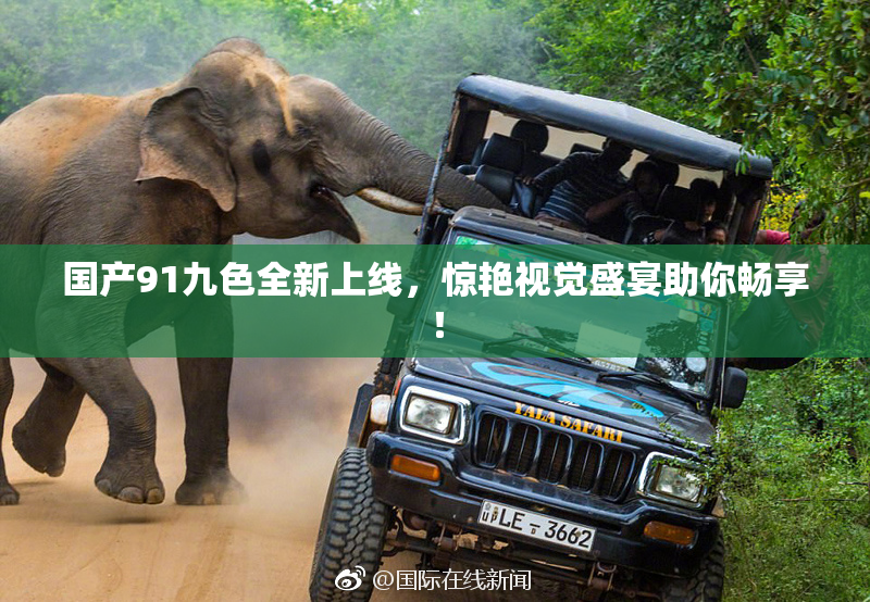 国产91九色全新上线，惊艳视觉盛宴助你畅享！