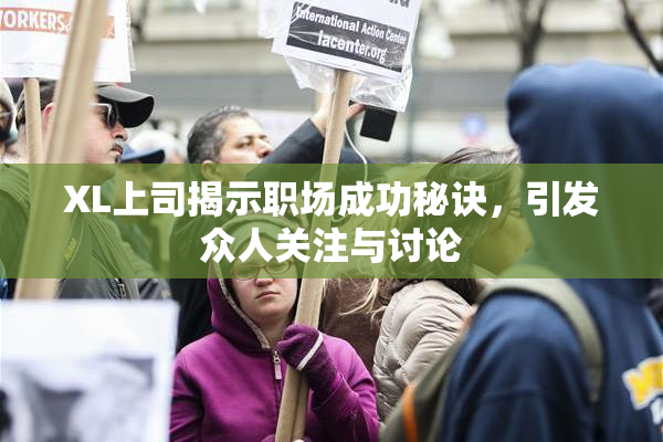 XL上司揭示职场成功秘诀，引发众人关注与讨论