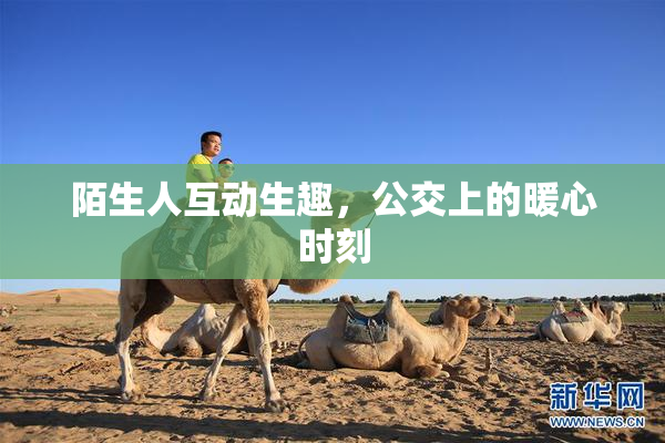 陌生人互动生趣，公交上的暖心时刻