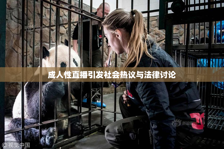 成人性直播引发社会热议与法律讨论