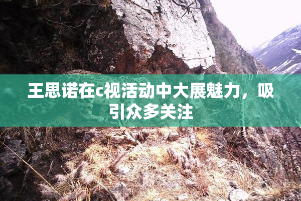 王思诺在c视活动中大展魅力，吸引众多关注