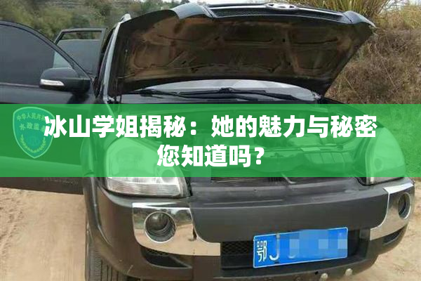 冰山学姐揭秘：她的魅力与秘密您知道吗？