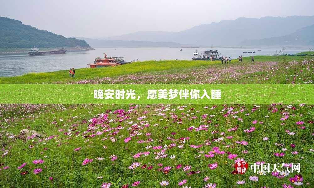 晚安时光，愿美梦伴你入睡