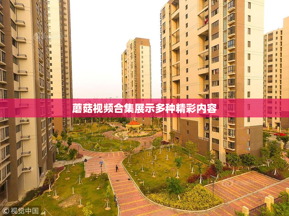 蘑菇视频合集展示多种精彩内容