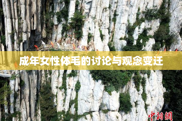 成年女性体毛的讨论与观念变迁
