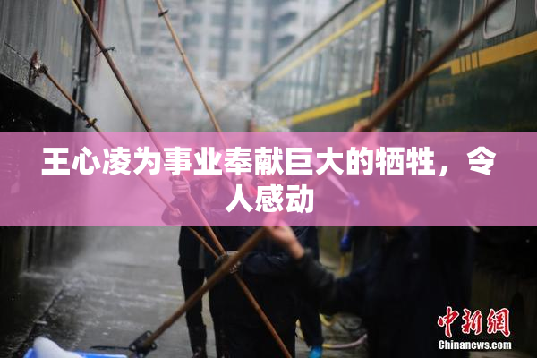 王心凌为事业奉献巨大的牺牲，令人感动