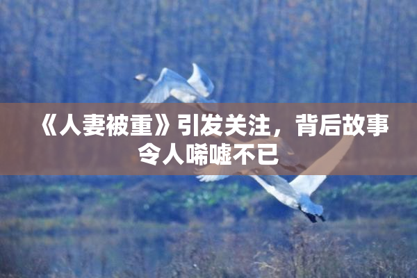 《人妻被重》引发关注，背后故事令人唏嘘不已