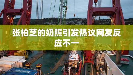 张柏芝的奶照引发热议网友反应不一