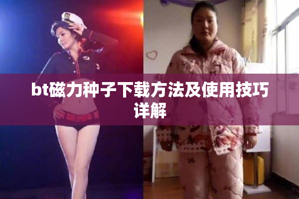 bt磁力种子下载方法及使用技巧详解