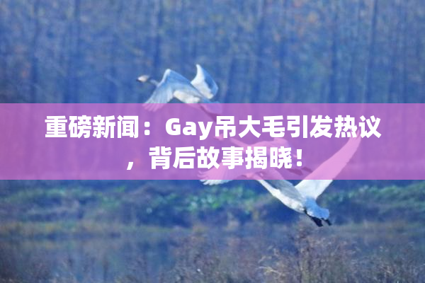 重磅新闻：Gay吊大毛引发热议，背后故事揭晓！