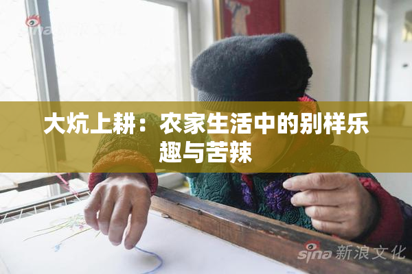 大炕上耕：农家生活中的别样乐趣与苦辣