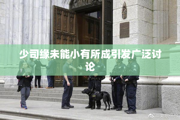 少司缘未能小有所成引发广泛讨论