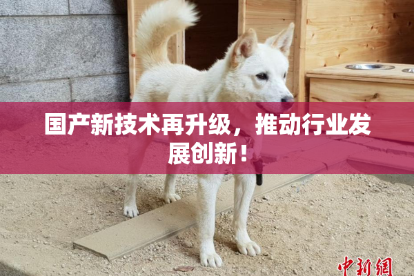 国产新技术再升级，推动行业发展创新！