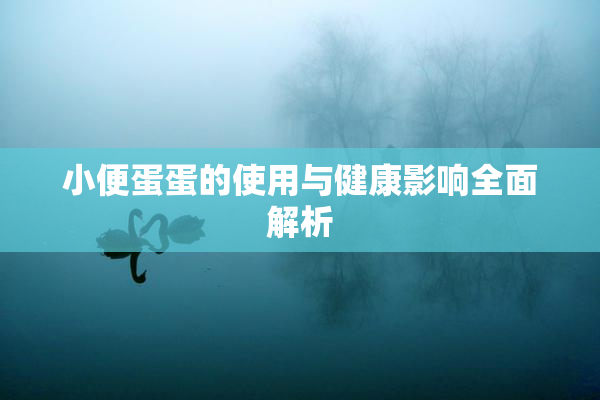 小便蛋蛋的使用与健康影响全面解析