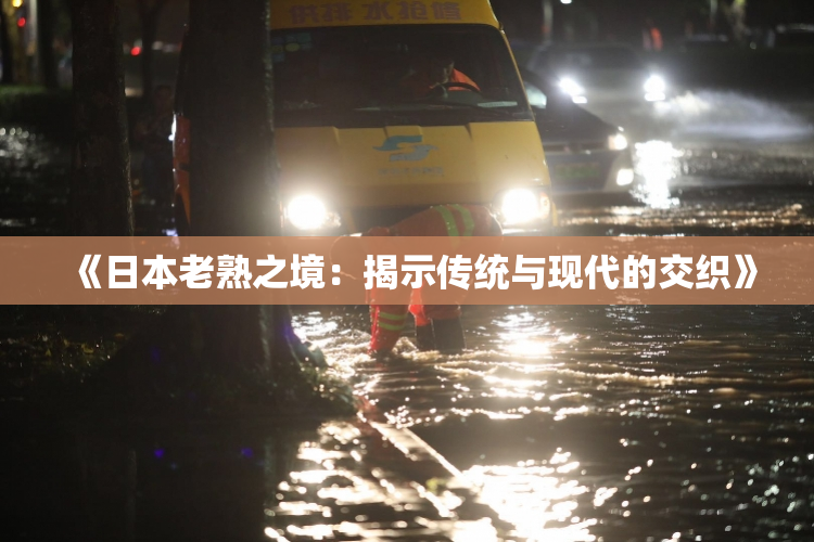 《日本老熟之境：揭示传统与现代的交织》