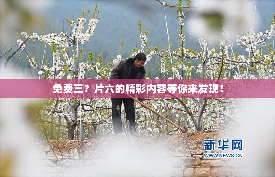 免费三？片六的精彩内容等你来发现！