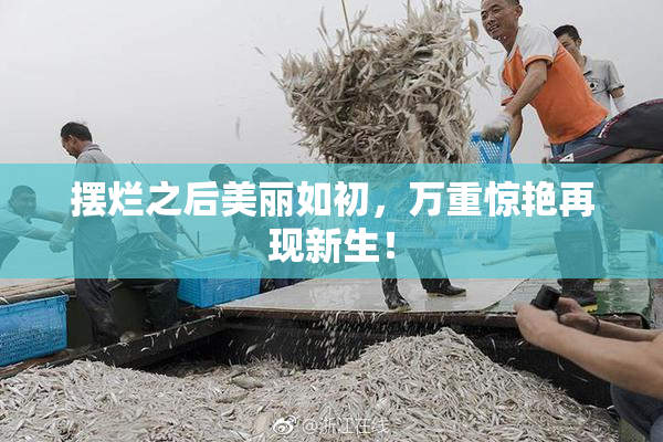 摆烂之后美丽如初，万重惊艳再现新生！